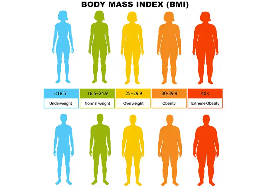 Body Mass Index reference
