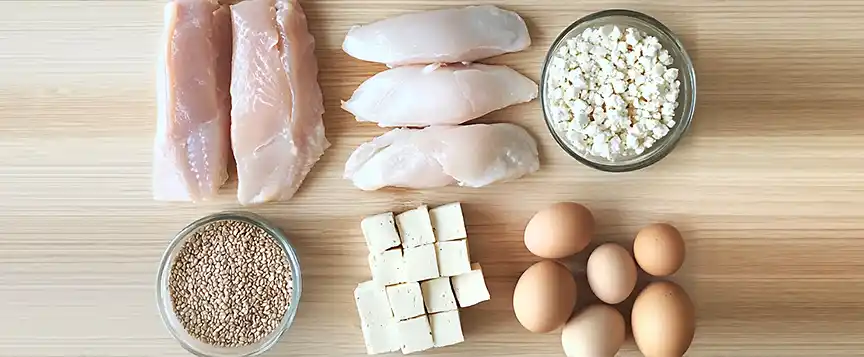 Protein Source collage